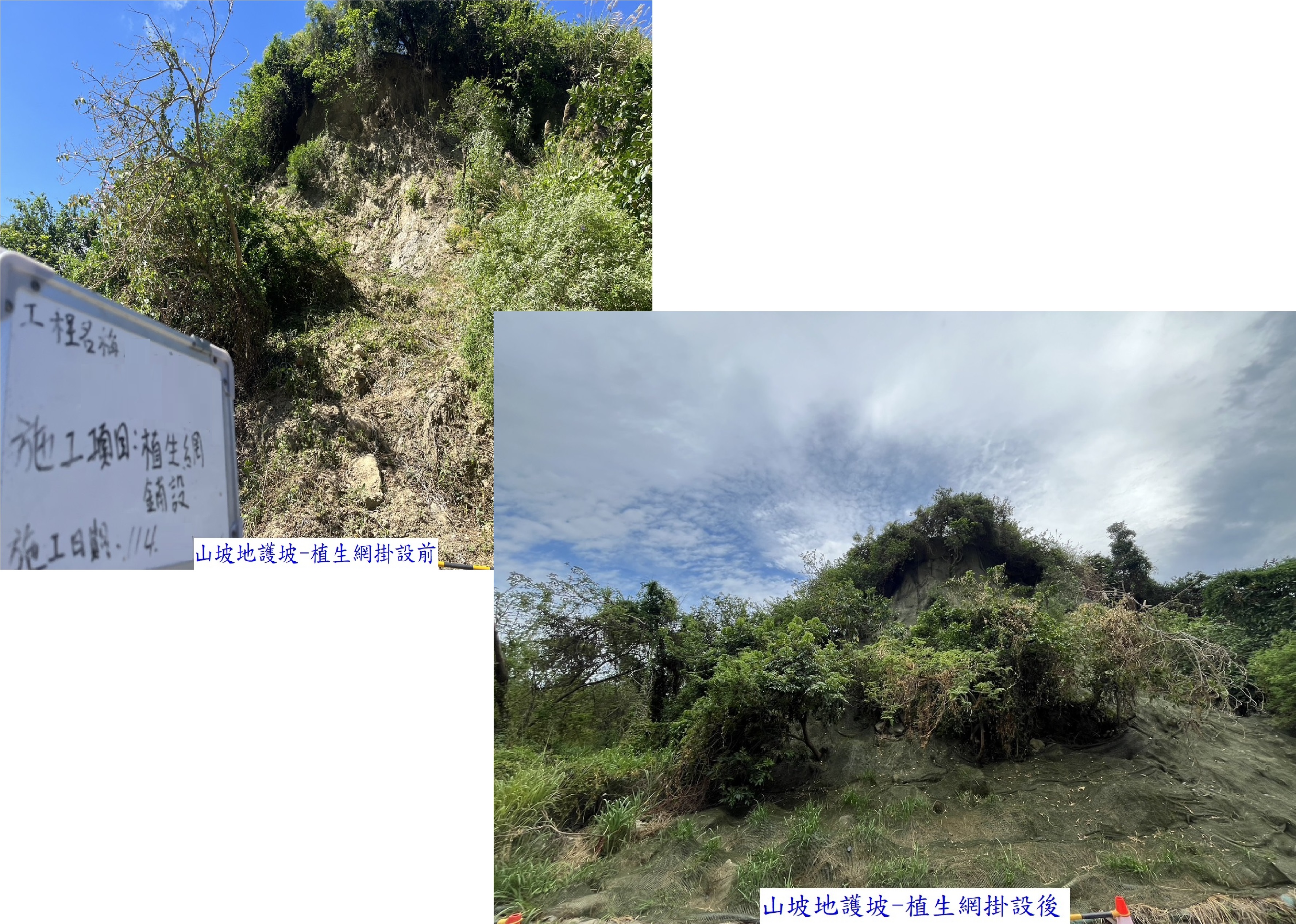 園藝工程1
